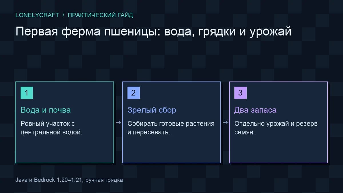 Схема первая грядка пшеницы: Вода и почва, Зрелый сбор, Два запаса